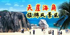 女生的大鸡免费观看海南三亚-天崖海角旅游风景区